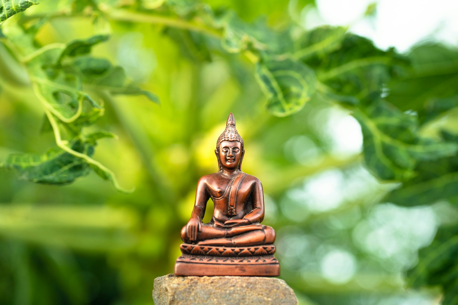 Aranyerdő meditáló alak szobor